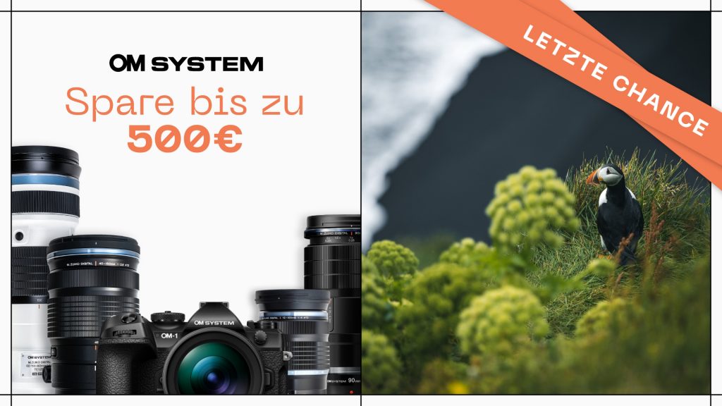 Letzte Chance: OM-SYSTEM Sommer Aktion – bis zu € 500,– Cashback!